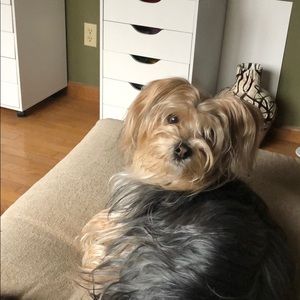 Meet your Posher, Andrew